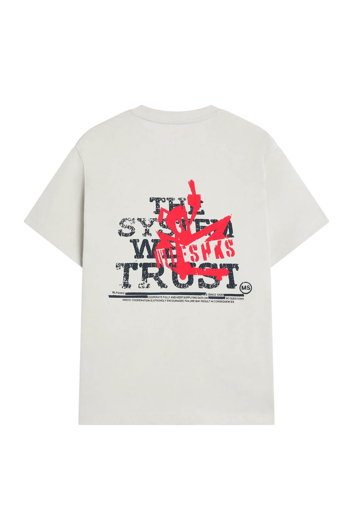 ESS749_SS26_tee_SKATE_icegray